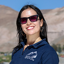 Karem Arriaza Schiller